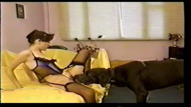 Filmes para Download xoxota fodas com animais cachorro comendo buceta Vídeo de sexo bestial grátis mulher chupando a pica do cachorro pornô zoofilia com oral