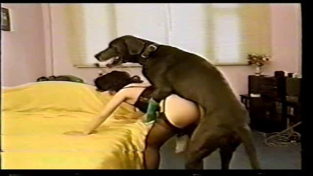 Filmes para Download xoxota fodas com animais zoofilia selvagem ZOO pornô com animais. vídeos gratuitos de bestialidade cavalo gozando na buceta filmes zoofiliade  brasileirinhas