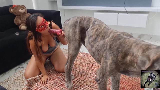 Filmes para Download xoxota fodas com animais animal sexo tubo sexo com cavalos e uma MILF cachorro comendo buceta Lise private club animalsex