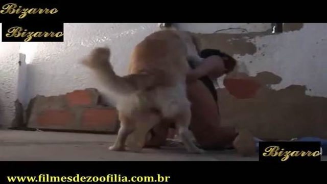 Filmes para Download xoxota fodas com animais zoofilia selvagem ZOO pornô com animais. vídeos gratuitos de bestialidade cavalo gozando na buceta filmes zoofiliade  brasileirinhas