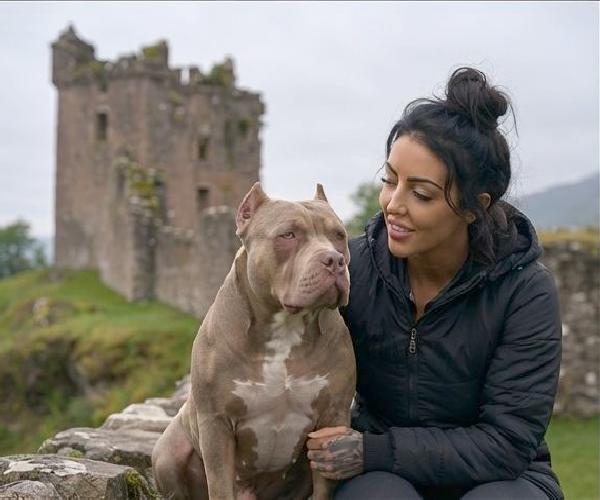 cachorro gozando cabeluda pinto de cavalo melhores filmes de bestialidade de todos os tempos Filmes Pornô Com Cachorros - Zoofilia Amadora Mulher Transando Com Cachorro cavalo gozando na mulher
