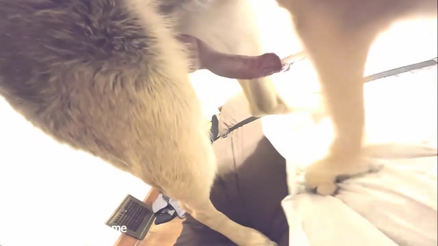 Filmes para Download xoxota fodas com animais Mia, Triana, Zaina, Valeria, Shantal, Lady Zoe, Andy, Xiomara Zoofilia Raven having sex with Dog animal sexo tubo k9lady