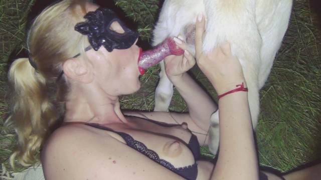 fodas com animais cabeluda peluda  sexo com animais porco comendo buceta O javali gozador na buceta da garota nova Mad GloryQuest Japones sexo com cachorro mulher de quatro pro cachorro