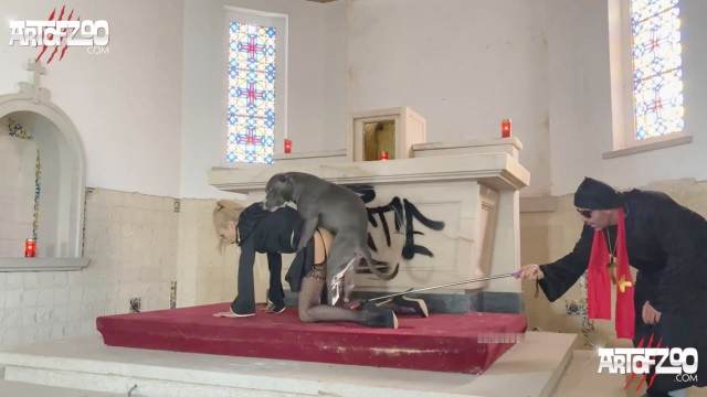 cachorro gozando fodas com animais Filmes para Download cavalo gozando na buceta porco comendo a buceta Seamless cachorro ejaculando