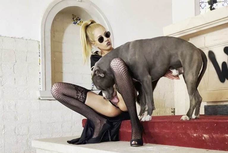 cachorro gozando fodas com animais Filmes para Download filmes zoofiliade  brasileirinhas cavalo gozando na mulher mulher chupando a pica do cachorro Mulher latina fazendo sexo com cavalo