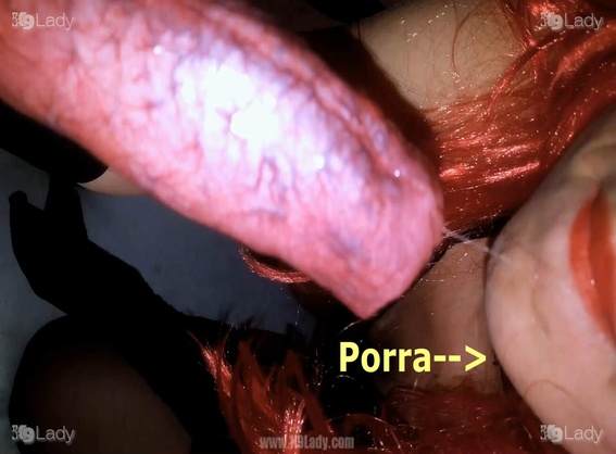 cabeluda cachorro gozando pinto de cavalo alisonprod namorada loira a transar com cavalo Mulheres brasileiras trepam com garanhão Porno Bizarro - Sexo Gratis