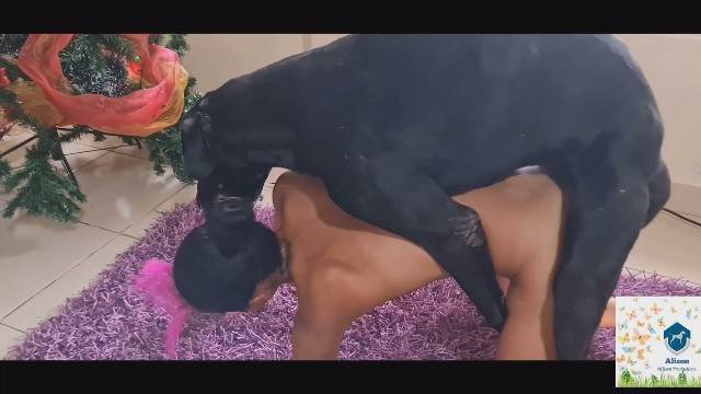 bestialidade zoofilia fodas com animais Cavalo gozando dentro da buceta de uma loira cavala Filmes Pornô Com Cachorros - Zoofilia Amadora Mulher Transando Com Cachorro cachorro de pau duro