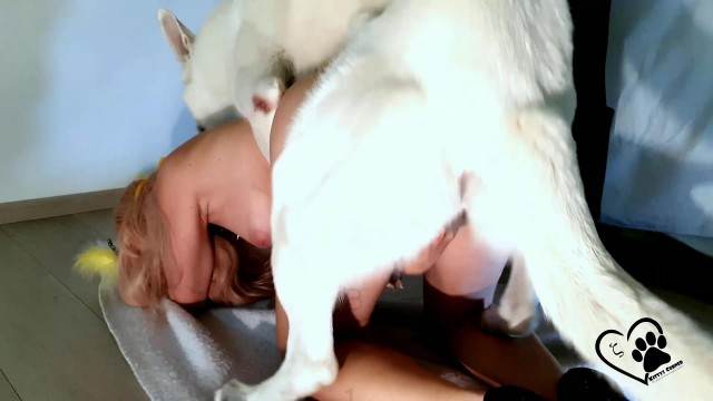 xoxota dogbond peluda  sexo com animais cachorro ejaculando Lise private club animalsex Porco comendo a bucetona da putona com tesão sexo bizarro