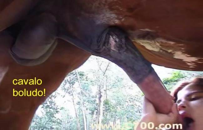 cabeluda dogbond cachorro gozando Porco comendo a bucetona da putona com tesão sexo com cavalos e uma MILF cavalo gozando na buceta pornografia animal