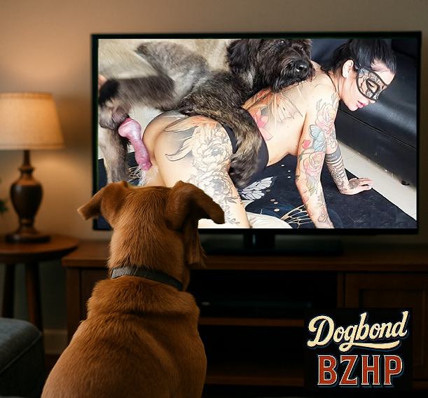 Bizarro Home Page compras de DVDs sexo com animais sexo com cavalos e uma MILF Vídeo de sexo bestial grátis cavalo gozando na mulher cavalo gozando na buceta