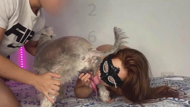 xoxota pinto de cavalo DVDs novinha gostosa brasileira dando a sua buceta para o cavalo mulher chupando a pica do cachorro Puta transando com um cavalo em pé Vídeos porno de zoofilia con perros y caballos que follan a las chicas zoofílicas