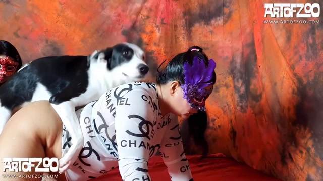 Filmes para Download xoxota fodas com animais Mulheres brasileiras trepam com garanhão Assista pornografia de bestialidade gratuita Mulher Transando Com Cachorro Zoofilia com uma loira gostosa