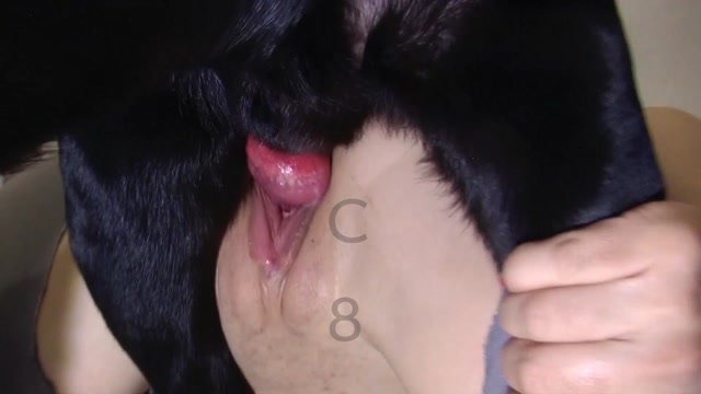 Filmes para Download xoxota fodas com animais Mulheres brasileiras trepam com garanhão Assista pornografia de bestialidade gratuita Mulher Transando Com Cachorro Zoofilia com uma loira gostosa