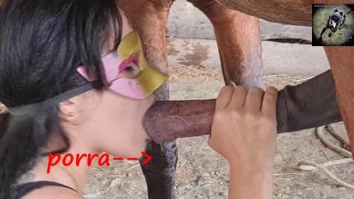 cachorro gozando dogbond sexo bizarro melhores filmes de bestialidade de todos os tempos Seamless cachorro caralhudo comendo a buceta de loira zoofilia selvagem