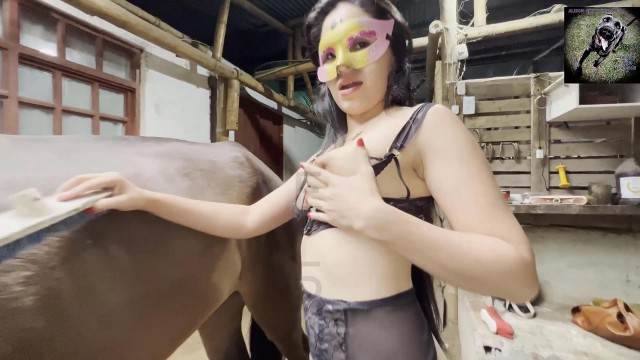 cachorro gozando dogbond sexo bizarro cavalo gozando na buceta alisonprod cachorro ejaculando animalsex