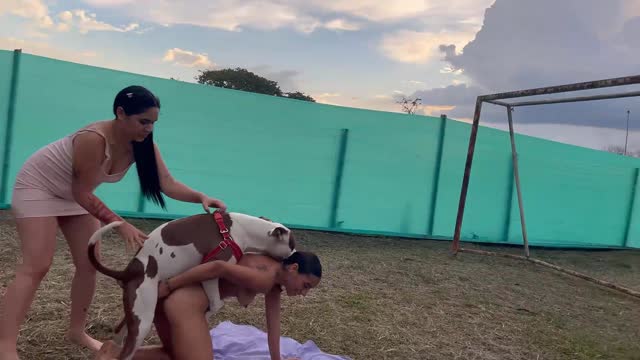 Filmes para Download xoxota fodas com animais Mulheres brasileiras trepam com garanhão Assista pornografia de bestialidade gratuita Mulher Transando Com Cachorro Zoofilia com uma loira gostosa
