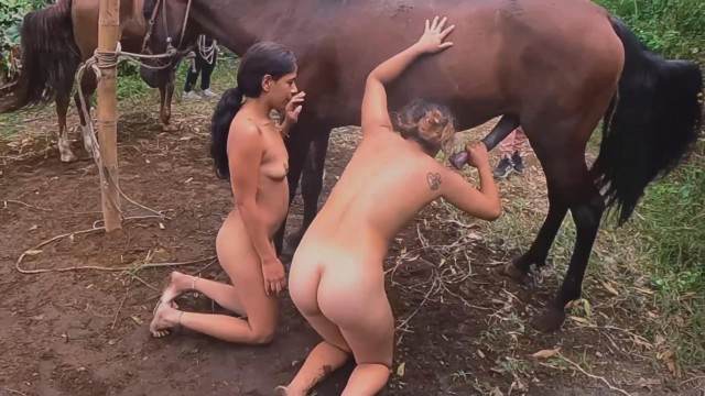 sexo bizarro dogbond pinto de cavalo art of zoo Cachorro arrombando buceta da dona porco comendo buceta Raven, DogWoman, Alison, Yasmin, Gisele, Vixen, Cupcake, Lise, Sonia Zoofilia