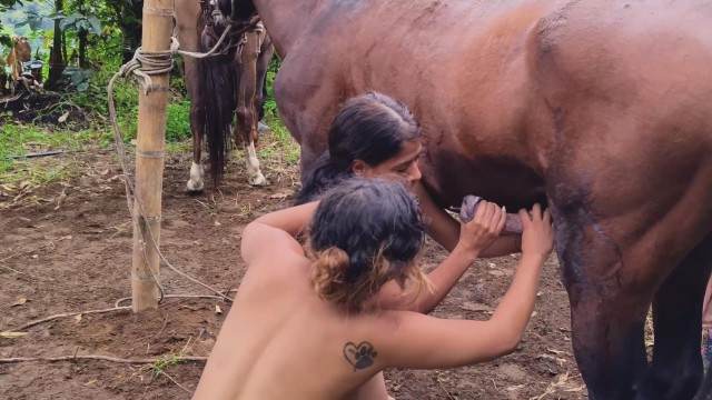 sexo bizarro dogbond pinto de cavalo pornografia animal Cachorro comendo e gozando no cu da casada bunduda Cavalo gozando dentro da buceta de uma loira cavala Mia, Triana, Zaina, Valeria, Shantal, Lady Zoe, Andy, Xiomara Zoofilia