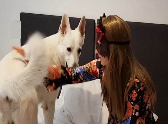 cachorro gozando cabeluda dogbond melhores filmes de bestialidade de todos os tempos ZOO pornô com animais. vídeos gratuitos de bestialidade cavalo gozando na mulher cachorro comendo buceta