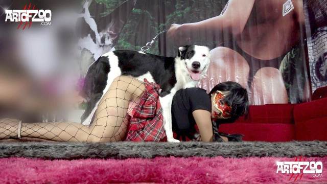 fodas com animais dogbond Filmes para Download Cavalo gozando dentro da buceta de uma loira cavala pornografia animal Porco Comendo Cuzinho De Mulher Quarentona Mulheres brasileiras trepam com garanhão