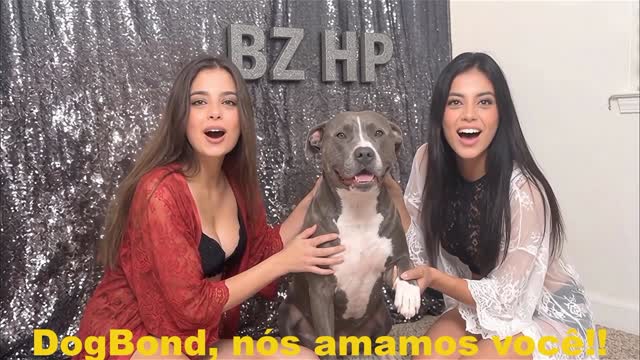 Filmes para Download xoxota fodas com animais cachorro comendo buceta Vídeo de sexo bestial grátis mulher chupando a pica do cachorro pornô zoofilia com oral
