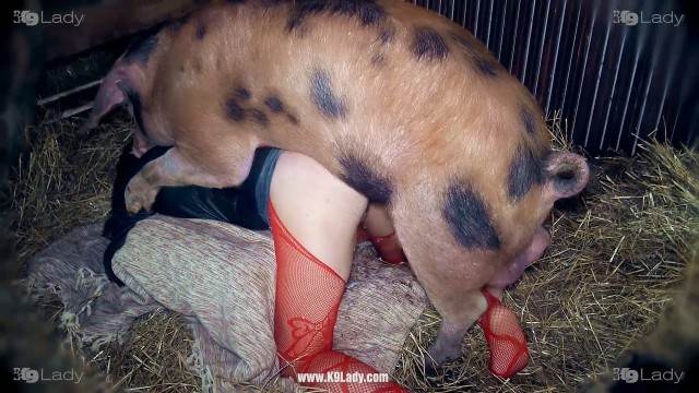 DVDs dogbond Filmes para Download k9lady melhores filmes de bestialidade de todos os tempos Cavalo de Pau Molhado e Mulher Chupando Raven having sex with Dog