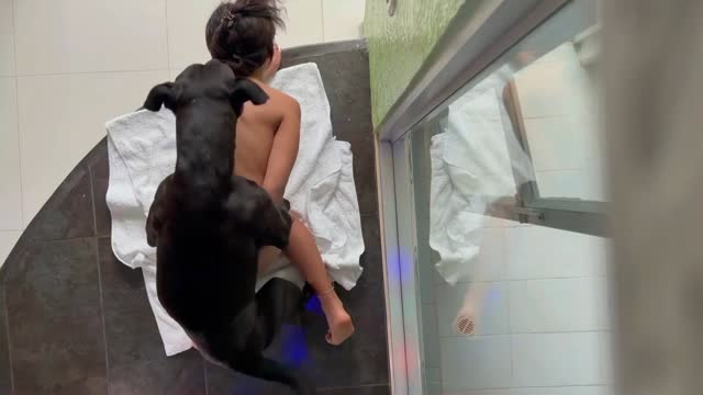Filmes para Download xoxota fodas com animais Vídeos porno de zoofilia con perros y caballos que follan a las chicas zoofílicas cachorro de pau duro Raven having sex with Dog Seamless