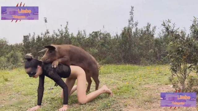 Blu-ray xoxota zoofilia Porco Comendo Cuzinho De Mulher Quarentona Cavalo gozando dentro da buceta de uma loira cavala cachorro comendo buceta novinha gostosa brasileira dando a sua buceta para o cavalo