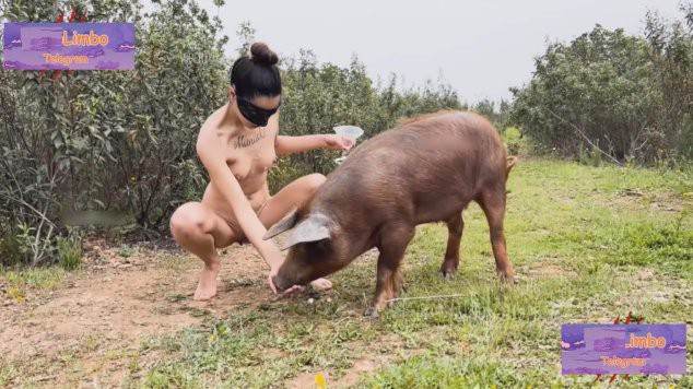 Blu-ray xoxota zoofilia Cachorro comendo e gozando no cu da casada bunduda cachorro caralhudo comendo a buceta de loira cachorro ejaculando zoofilia selvagem