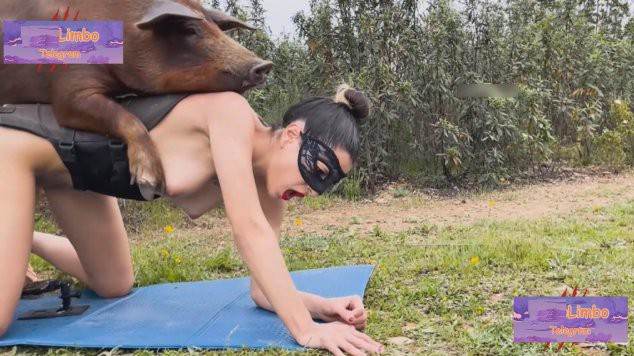 Blu-ray xoxota zoofilia Mulher trepando com cavalão enquanto marido cornao assiste mulher de quatro no chiqueiro dando para um porco Porno Bizarro - Sexo Gratis Raven, DogWoman, Alison, Yasmin, Gisele, Vixen, Cupcake, Lise, Sonia Zoofilia