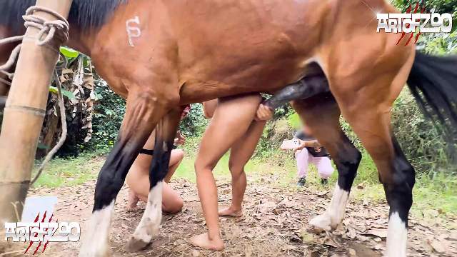 Filmes para Download xoxota fodas com animais Mia, Triana, Zaina, Valeria, Shantal, Lady Zoe, Andy, Xiomara Zoofilia Raven having sex with Dog animal sexo tubo k9lady