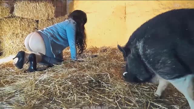Filmes para Download xoxota fodas com animais Mia, Triana, Zaina, Valeria, Shantal, Lady Zoe, Andy, Xiomara Zoofilia Raven having sex with Dog animal sexo tubo k9lady