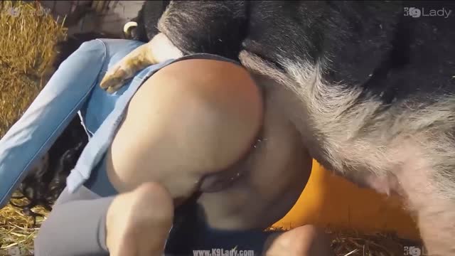 Filmes para Download xoxota fodas com animais Mulheres brasileiras trepam com garanhão Assista pornografia de bestialidade gratuita Mulher Transando Com Cachorro Zoofilia com uma loira gostosa