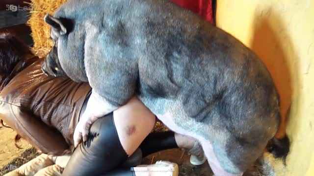 Filmes para Download xoxota fodas com animais animal sexo tubo sexo com cavalos e uma MILF cachorro comendo buceta Lise private club animalsex