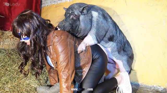 Filmes para Download xoxota fodas com animais namorada loira a transar com cavalo Cachorro comendo e gozando no cu da casada bunduda Assista pornografia de bestialidade gratuita Cavalo gozando dentro da buceta de uma loira cavala