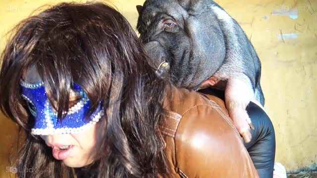 Filmes para Download xoxota fodas com animais Vídeos porno de zoofilia con perros y caballos que follan a las chicas zoofílicas cachorro de pau duro Raven having sex with Dog Seamless