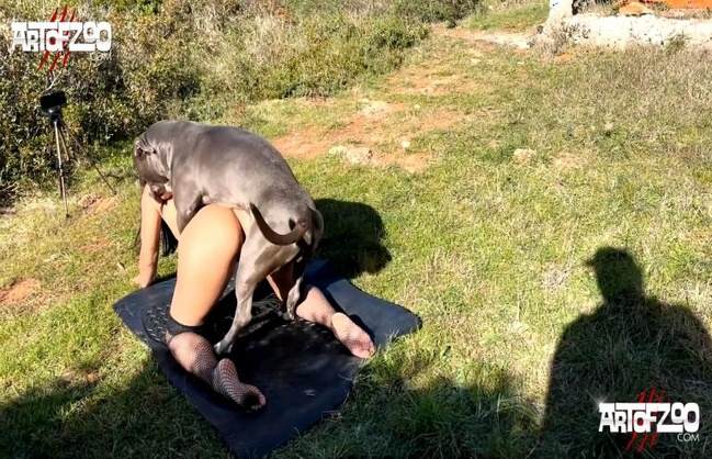 cabeluda pinto de cavalo DVDs cachorro ejaculando Cachorro comendo e gozando no cu da casada bunduda cavalo gozando na buceta Vídeos porno de zoofilia con perros y caballos que follan a las chicas zoofílicas