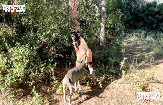 cabeluda pinto de cavalo DVDs porco comendo buceta Porco comendo a bucetona da putona com tesão art of zoo Cachorro comendo o Cu da empregada