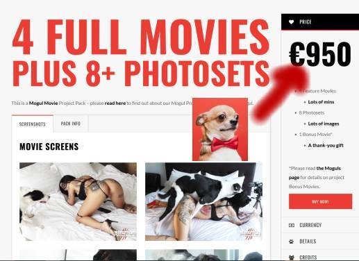 cabeluda dogbond cachorro gozando namorada loira a transar com cavalo Cavalo de Pau Molhado e Mulher Chupando O javali gozador na buceta da garota nova Mulher latina fazendo sexo com cavalo