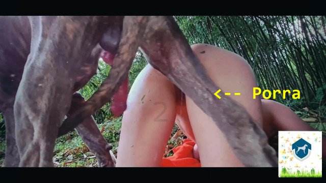 cachorro gozando fodas com animais Filmes para Download Vídeos porno de zoofilia con perros y caballos que follan a las chicas zoofílicas Mulher latina fazendo sexo com cavalo animal sexo tubo Lise private club animalsex
