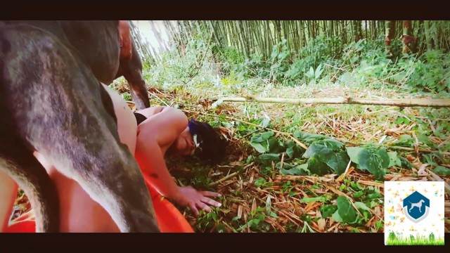 cachorro gozando fodas com animais Filmes para Download Mulher latina fazendo sexo com cavalo Porco comendo a bucetona da putona com tesão melhores filmes de bestialidade de todos os tempos Penetração Sexo com cachorro Pornografia de zoológico grátis