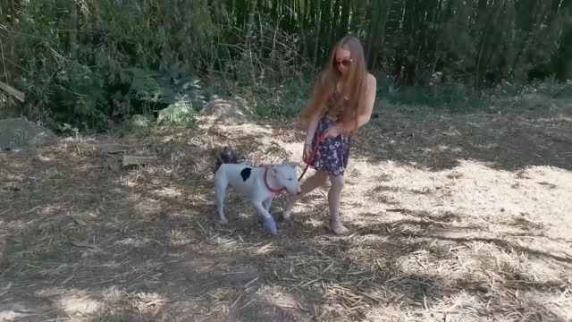 Filmes para Download xoxota fodas com animais Vídeos porno de zoofilia con perros y caballos que follan a las chicas zoofílicas cachorro de pau duro Raven having sex with Dog Seamless