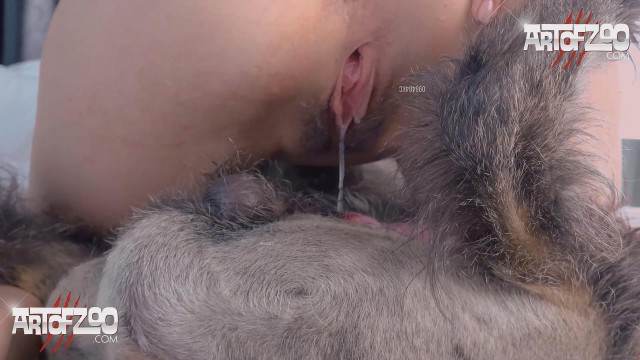 cabeluda DVDs Blu-ray Cachorro comendo e gozando no cu da casada bunduda Cachorro comendo o Cu da empregada alisonprod Raven, DogWoman, Alison, Yasmin, Gisele, Vixen, Cupcake, Lise, Sonia Zoofilia