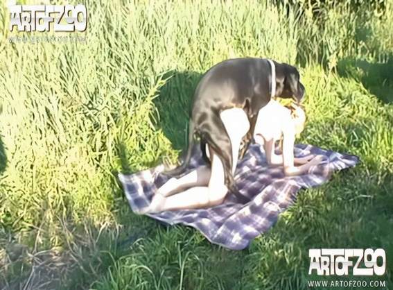 peluda  sexo com animais cachorro gozando sexo bizarro site de tubo de sexo zoo animal k9lady cavalo de pau duro animalsex