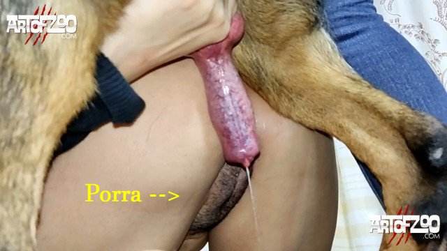 peluda  sexo com animais pinto de cavalo dogbond Mulher Transando Com Cachorro Mulher trepando com cavalão enquanto marido cornao assiste site de tubo de sexo zoo animal cavalo gozando na buceta