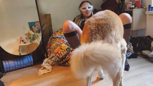 zoofilia cachorro gozando pinto de cavalo sexo com cavalos e uma MILF pornô zoofilia com oral Bestiality woman having sex with animals cavalo de pau duro