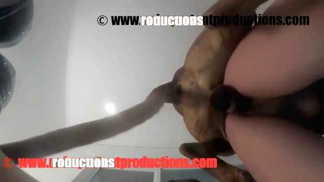 Filmes para Download xoxota fodas com animais animal sexo tubo sexo com cavalos e uma MILF cachorro comendo buceta Lise private club animalsex