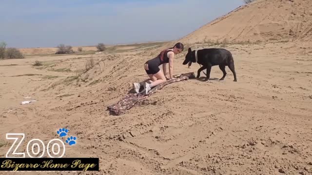 Filmes para Download xoxota fodas com animais cachorro comendo buceta Vídeo de sexo bestial grátis mulher chupando a pica do cachorro pornô zoofilia com oral