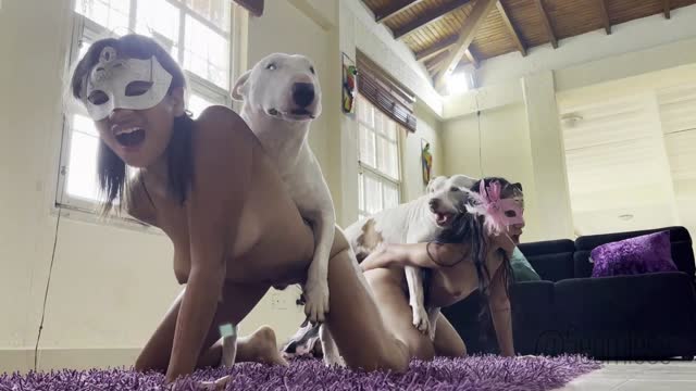 Filmes para Download xoxota fodas com animais Vídeos porno de zoofilia con perros y caballos que follan a las chicas zoofílicas cachorro de pau duro Raven having sex with Dog Seamless
