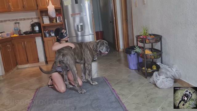 bestialidade zoofilia fodas com animais filmes anal sexual amor zoofílico orgia no zoológico Vídeo de sexo bestial grátis animalsex porco comendo buceta